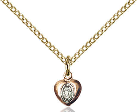Miraculous Heart 0217PLSS
