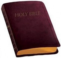 Catholic Companion Edition - Burgundy - NABRE